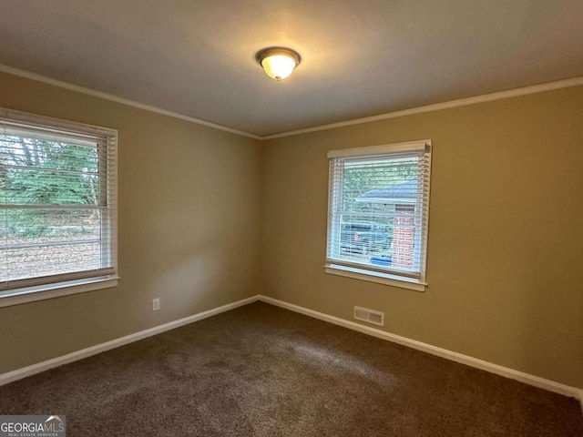 empty room with carpet floors and crown molding