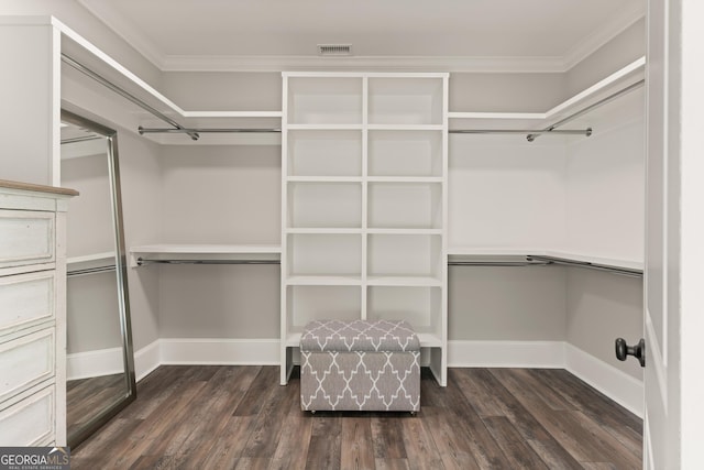 spacious closet with dark wood-type flooring