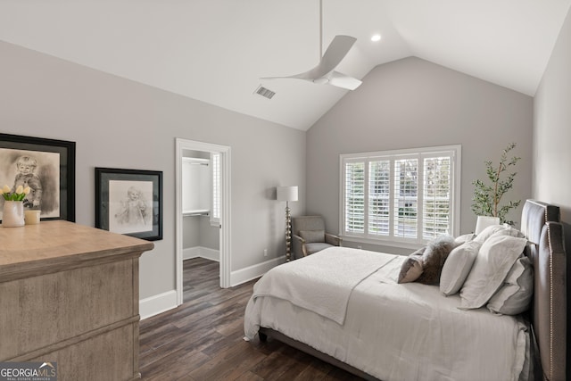 bedroom featuring lofted ceiling, dark hardwood / wood-style flooring, and a spacious closet