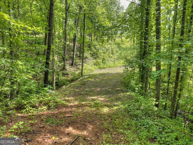 LT127 Red Hawk Trl, Ellijay GA, 30540 land for sale