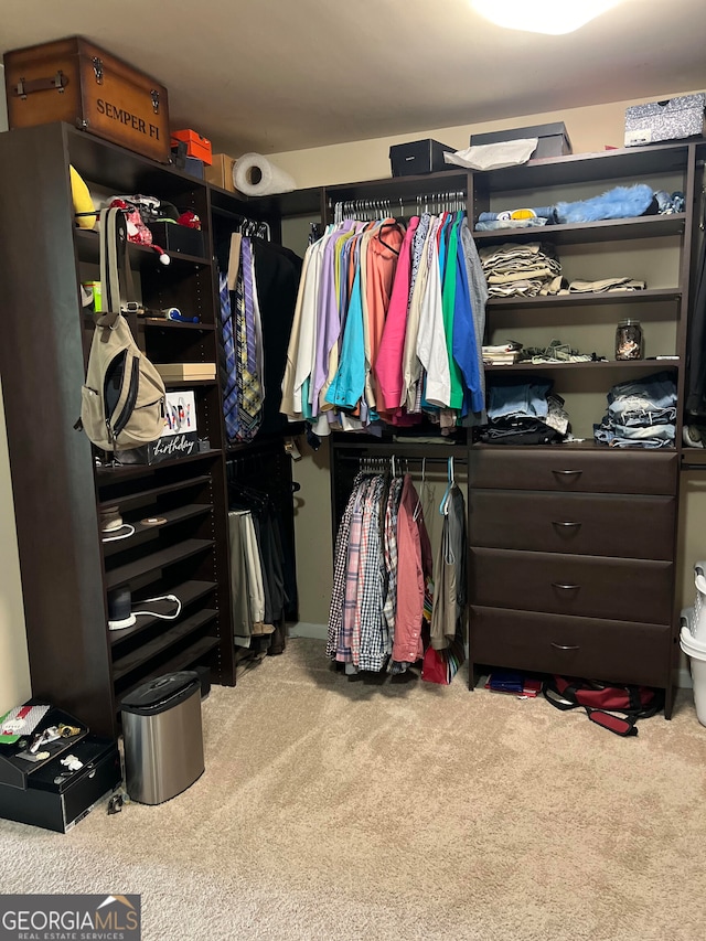 walk in closet with light colored carpet