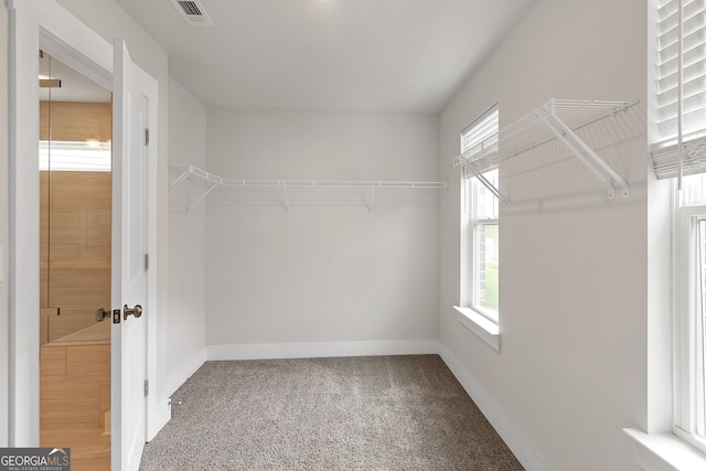 walk in closet featuring carpet floors