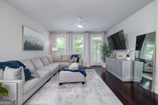 living room featuring ceiling fan and dark wood-type flooring