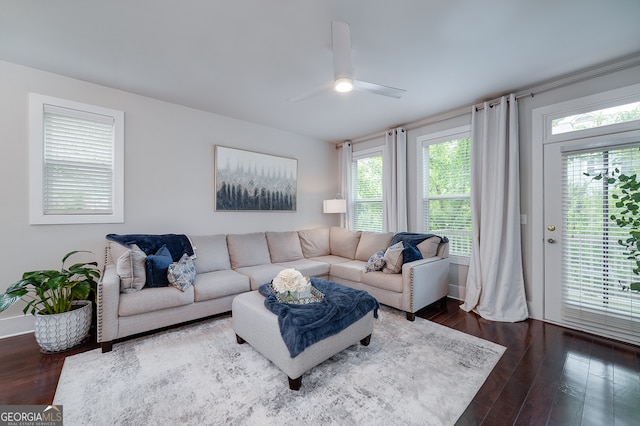 living room with ceiling fan and dark wood-type flooring