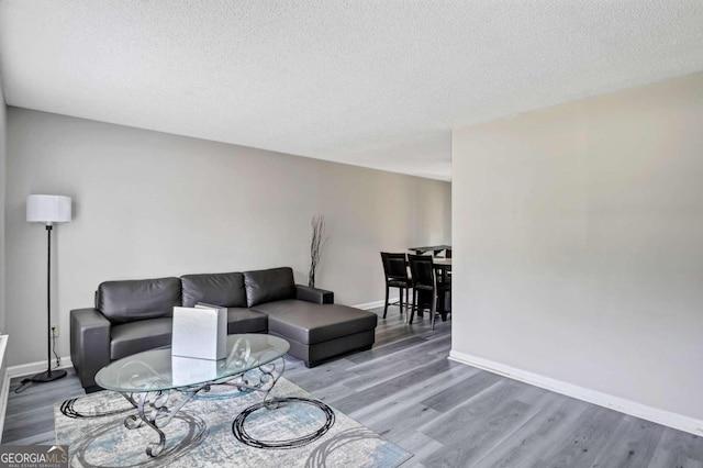 living room featuring wood-type flooring and a textured ceiling