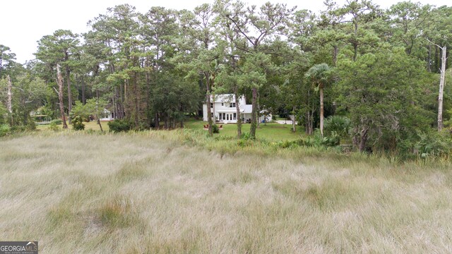 view of local wilderness