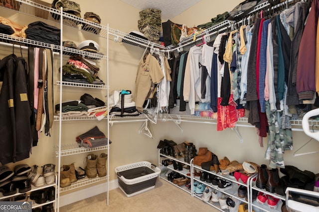 spacious closet with carpet flooring