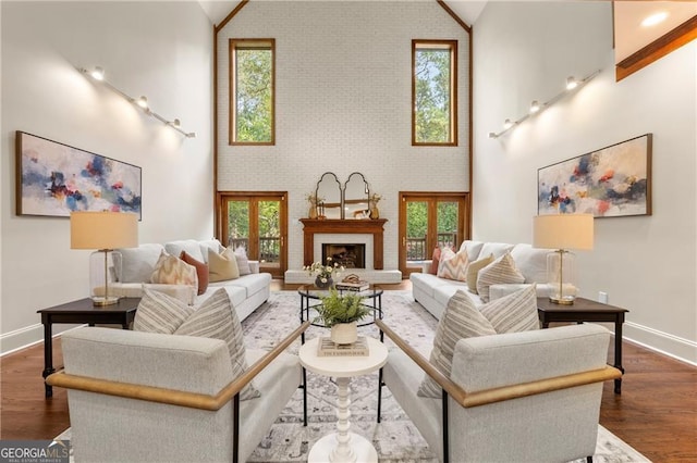 living room featuring dark hardwood / wood-style floors, high vaulted ceiling, and a healthy amount of sunlight