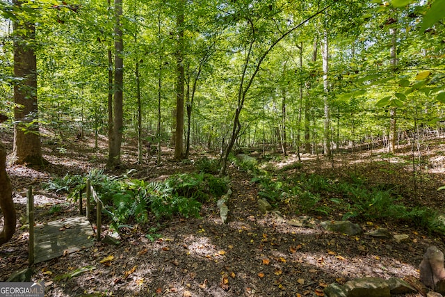 view of local wilderness