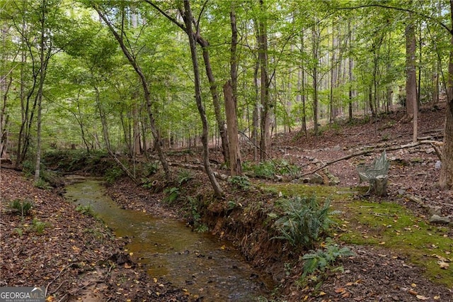 view of local wilderness