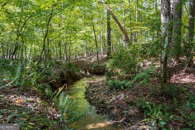 view of local wilderness