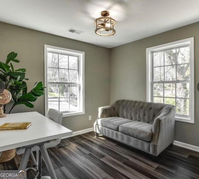 interior space featuring a healthy amount of sunlight and dark wood-type flooring