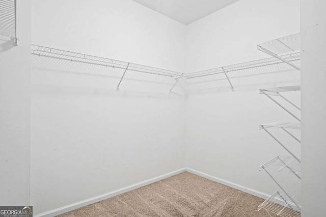 walk in closet with carpet floors