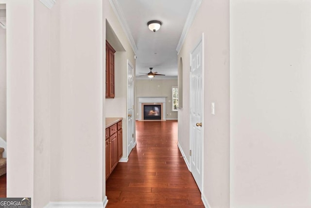 hall with ornamental molding and dark hardwood / wood-style floors