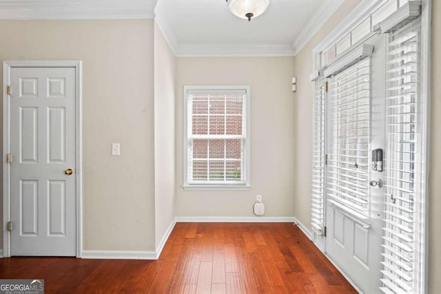 interior space featuring dark hardwood / wood-style floors and crown molding