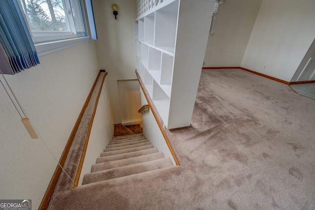 staircase featuring carpet floors