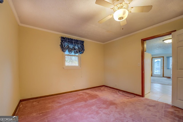 spare room featuring carpet, ceiling fan, and ornamental molding