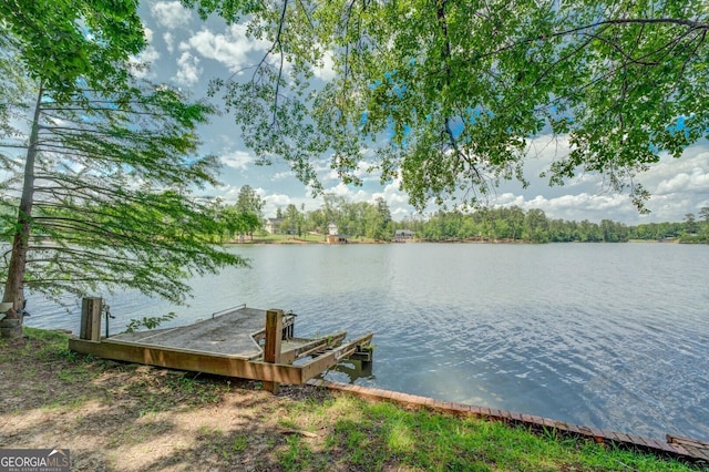 dock area with a water view