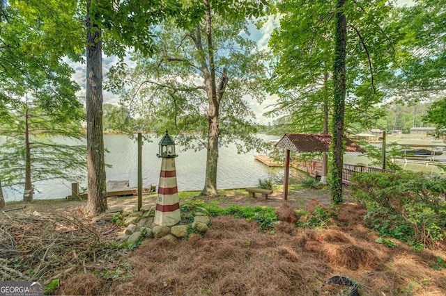 view of yard with a water view and a dock