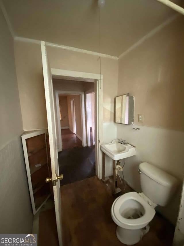 bathroom featuring sink and toilet