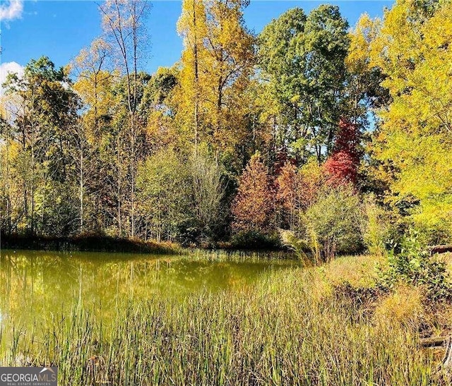 view of nature with a water view