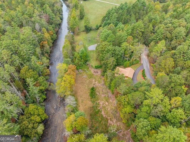 292 Silver Fox Trl, Blue Ridge, GA 30513 - view of property location featuring a heavily wooded area