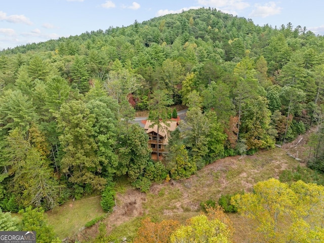 292 Silver Fox Trl, Blue Ridge, GA 30513 - aerial view of property and surrounding area featuring a forest