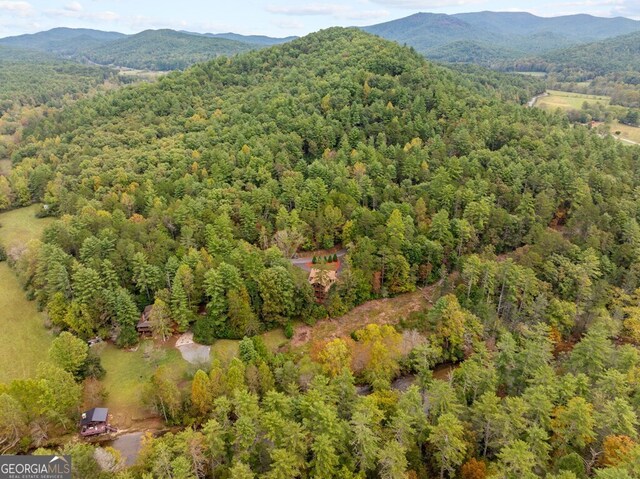 birds eye view of property featuring a mountain view