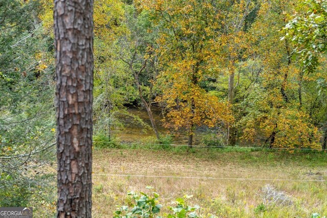 view of nature