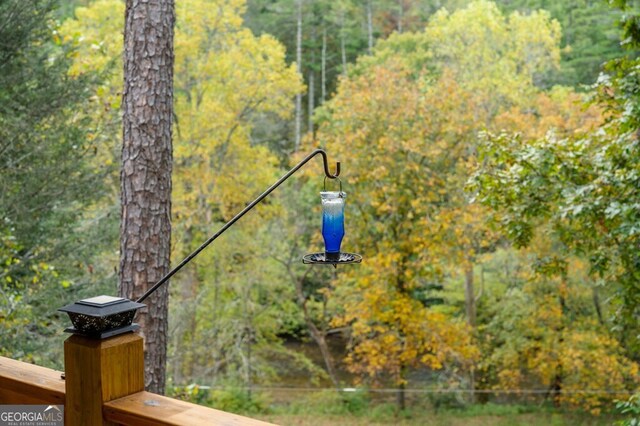 292 Silver Fox Trl, Blue Ridge, GA 30513 - exterior view of a forest view
