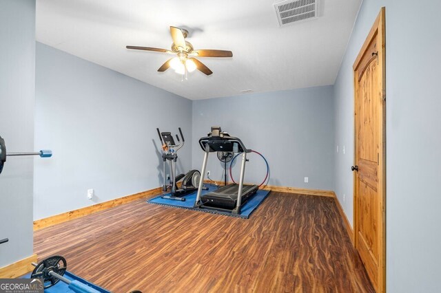 exercise area featuring ceiling fan and hardwood / wood-style flooring