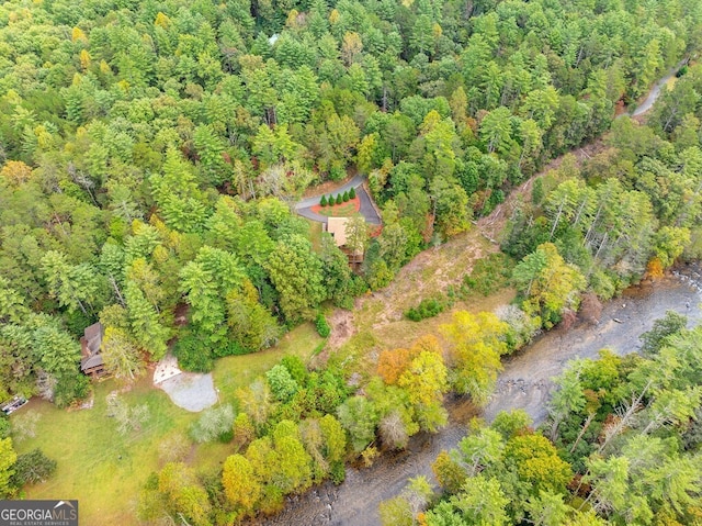 292 Silver Fox Trl, Blue Ridge, GA 30513 - view of property location featuring a heavily wooded area