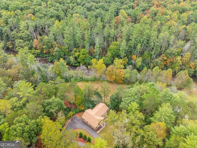 292 Silver Fox Trl, Blue Ridge, GA 30513 - aerial overview of property's location featuring a forest