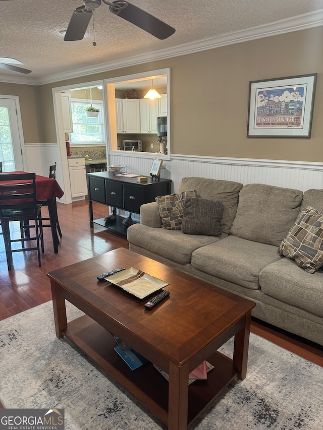 living room featuring a textured ceiling, crown molding, ceiling fan, and dark wood-type flooring