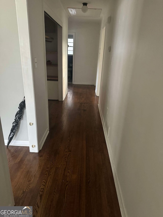 hallway with dark hardwood / wood-style flooring