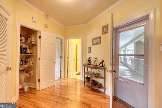 interior space featuring light hardwood / wood-style flooring, a textured ceiling, and crown molding