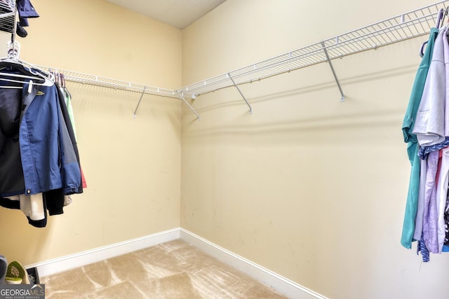 walk in closet featuring carpet floors