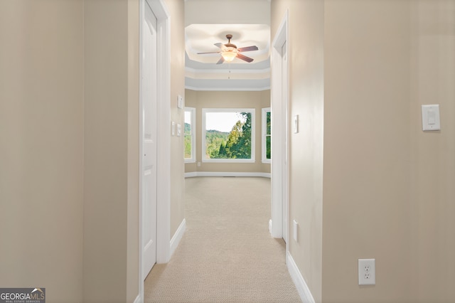 corridor featuring light carpet and a raised ceiling