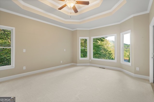 carpeted spare room with ornamental molding, ceiling fan, and a raised ceiling