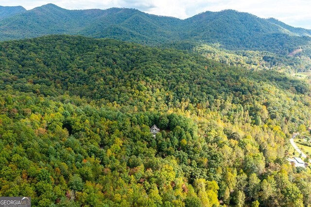 property view of mountains