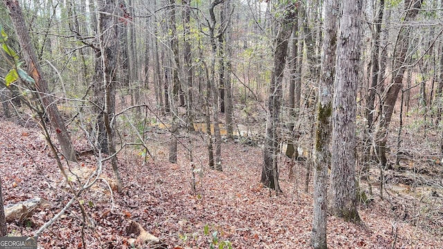 Listing photo 3 for 0 Needleleaf Dr Lot 4, Barnesville GA 30204