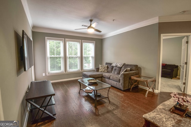 living room with ceiling fan, ornamental molding, and dark wood-type flooring