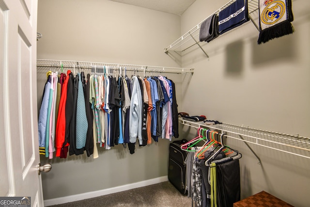 walk in closet featuring carpet