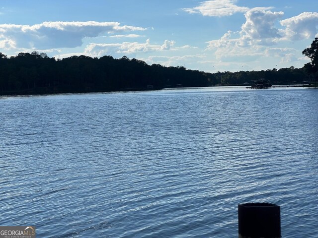 view of water feature