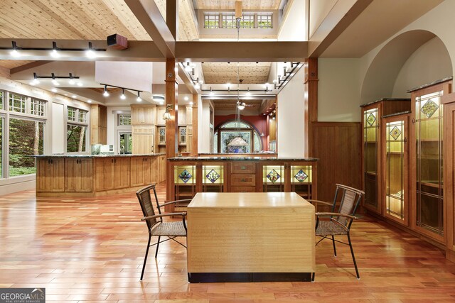 interior space featuring track lighting, a wealth of natural light, a towering ceiling, and light hardwood / wood-style floors