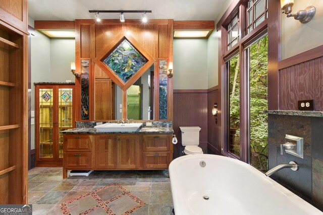 bathroom with vanity, a bathtub, and toilet