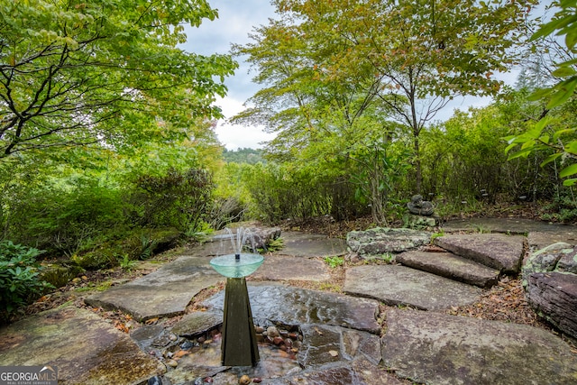 view of yard featuring a patio