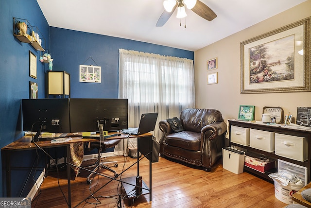 office with ceiling fan and light hardwood / wood-style flooring