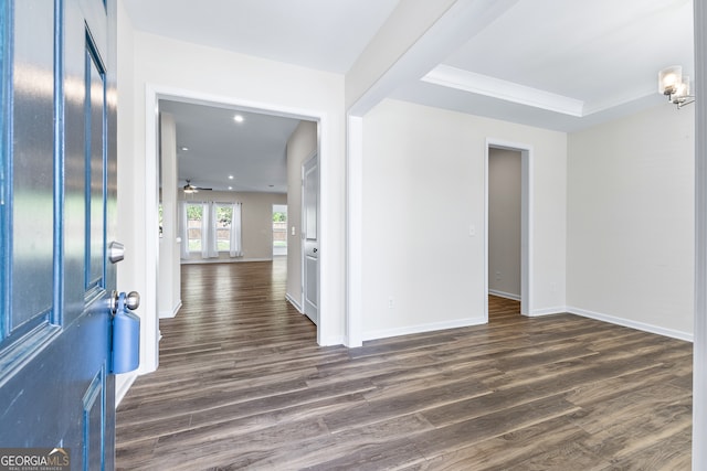 foyer featuring ceiling fan and dark hardwood / wood-style floors