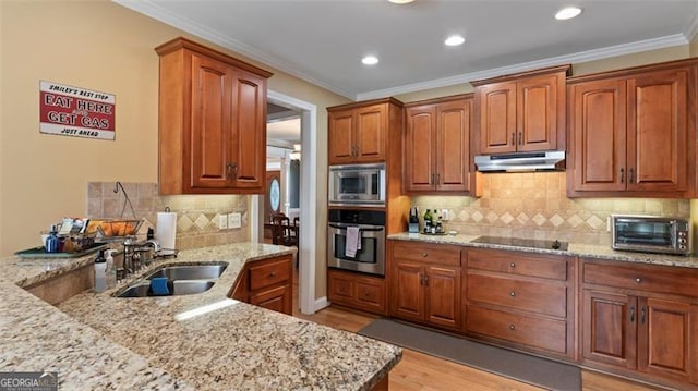 kitchen with light wood-type flooring, light stone countertops, sink, and stainless steel appliances